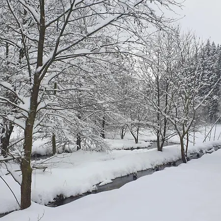 Apartment Hutzenalm Nassau (Saxony)
