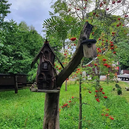 Hutzenalm Apartman Nassau (Saxony)