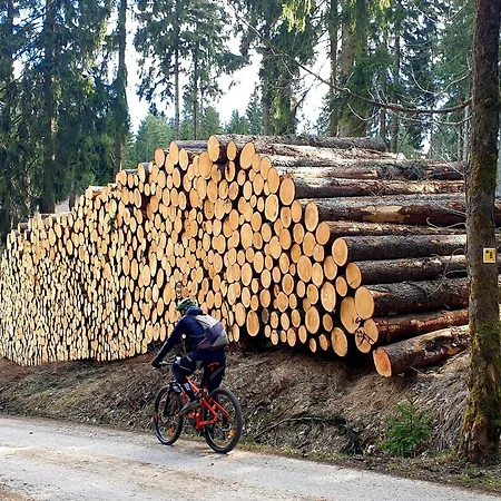 Hutzenalm Apartman *