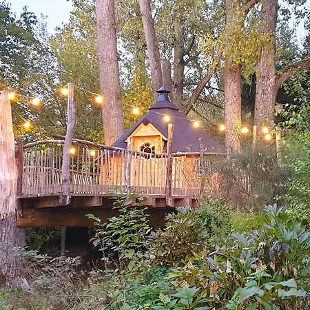 Hutzenalm Nassau (Saxony)