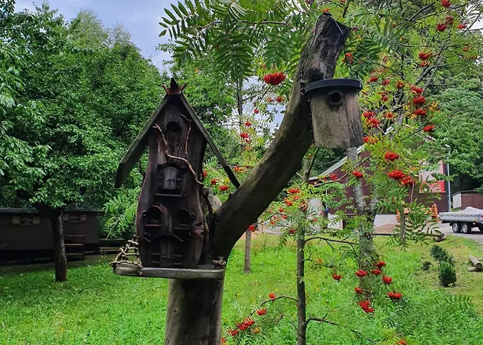 Hutzenalm Apartament Nassau (Saxony)