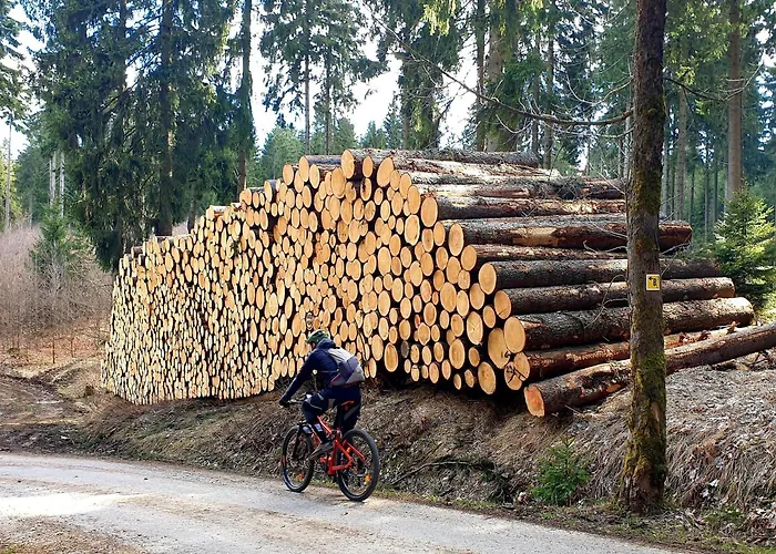 Hutzenalm Apartament *