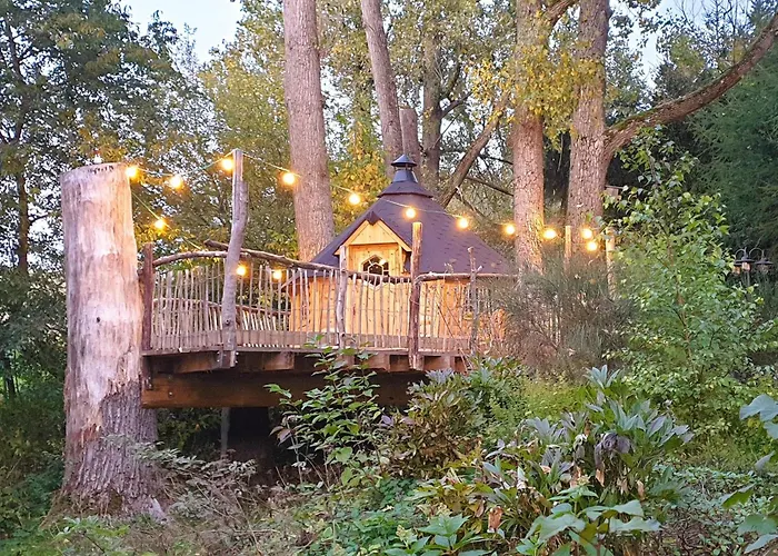 Hutzenalm Nassau (Saxony)